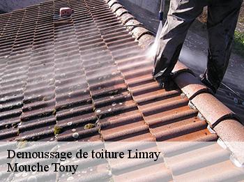 Demoussage de toiture