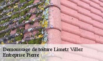 Demoussage de toiture  limetz-villez-78270 Entreprise Pierre