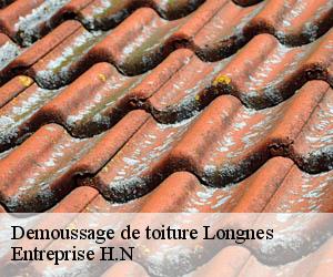 Demoussage de toiture  longnes-78980 Entreprise H.N