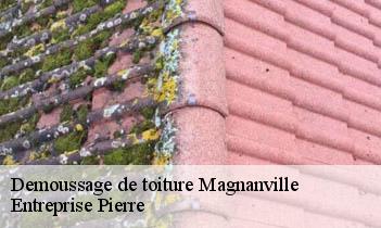 Demoussage de toiture magnanville-78200 Entreprise Pierre