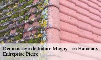 Demoussage de toiture magny-les-hameaux-78114 Entreprise Pierre