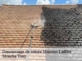 Demoussage de toiture  78600