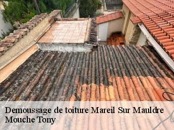 Demoussage de toiture  mareil-sur-mauldre-78124 Mouche Tony