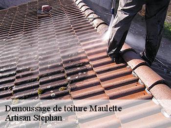Demoussage de toiture
