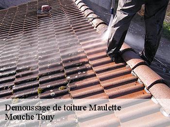 Demoussage de toiture