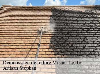Demoussage de toiture  78600