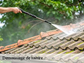 Demoussage de toiture  78600