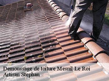 Demoussage de toiture