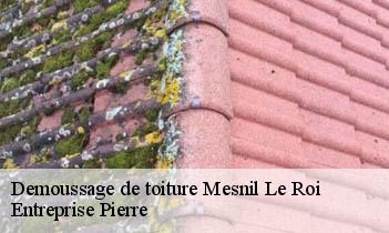 Demoussage de toiture  mesnil-le-roi-78600 Entreprise Pierre