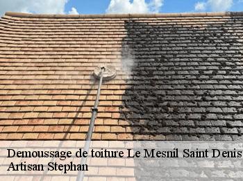 Demoussage de toiture  78320