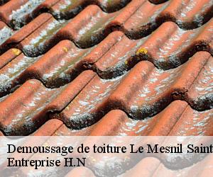 Demoussage de toiture  le-mesnil-saint-denis-78320 Entreprise H.N