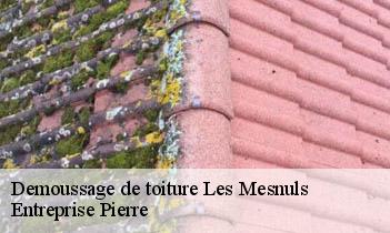 Demoussage de toiture les-mesnuls-78490 Entreprise Pierre