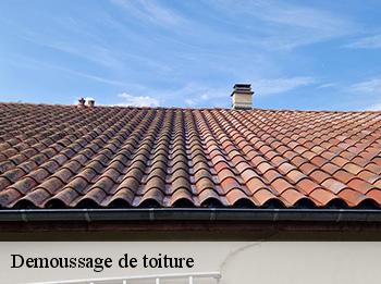 Demoussage de toiture