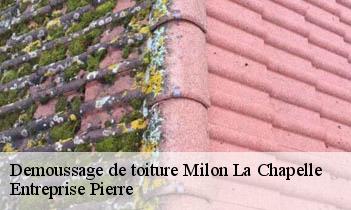 Demoussage de toiture milon-la-chapelle-78470 Entreprise Pierre
