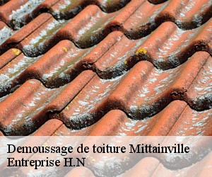 Demoussage de toiture  mittainville-78125 Entreprise H.N