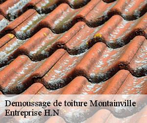 Demoussage de toiture  montainville-78124 Entreprise H.N
