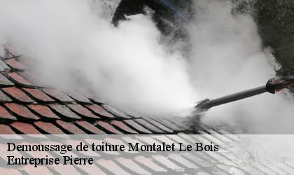 Demoussage de toiture 78440