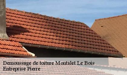 Demoussage de toiture