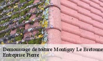 Demoussage de toiture montigny-le-bretonneux-78180 Entreprise Pierre