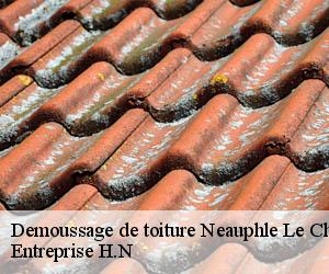 Demoussage de toiture  neauphle-le-chateau-78640 Entreprise H.N