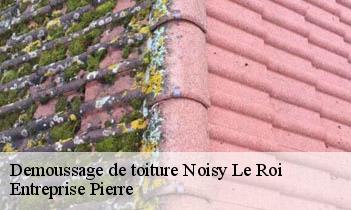 Demoussage de toiture noisy-le-roi-78590 Entreprise Pierre