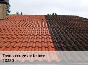 Demoussage de toiture  78230