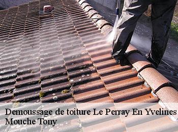 Demoussage de toiture