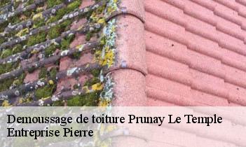 Demoussage de toiture prunay-le-temple-78910 Entreprise Pierre
