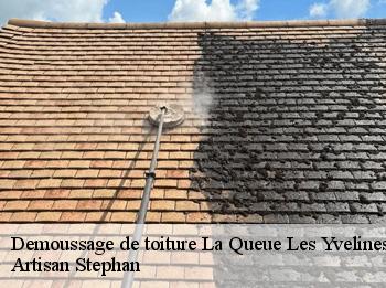 Demoussage de toiture  78940