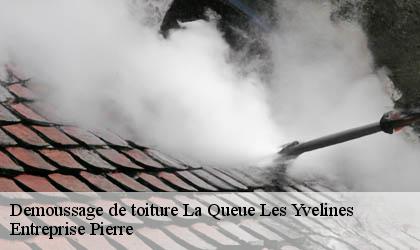 Demoussage de toiture  78940