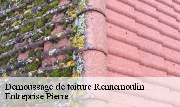 Demoussage de toiture rennemoulin-78590 Entreprise Pierre