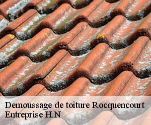 Demoussage de toiture  rocquencourt-78150 Entreprise H.N