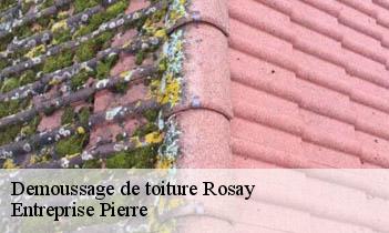 Demoussage de toiture rosay-78790 Entreprise Pierre