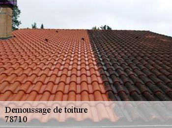 Demoussage de toiture  78710