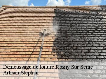 Demoussage de toiture  78710