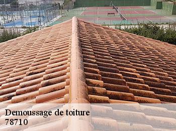 Demoussage de toiture  78710