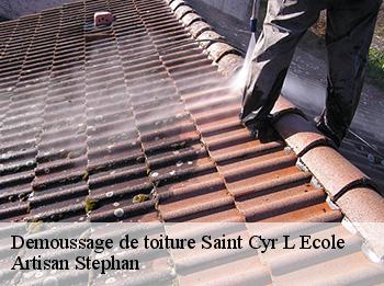 Demoussage de toiture