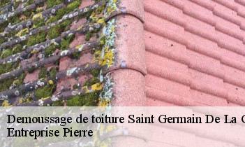 Demoussage de toiture saint-germain-de-la-grange-78640 Entreprise Pierre