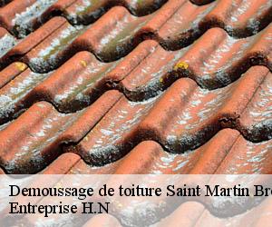 Demoussage de toiture  saint-martin-brethencourt-78660 Entreprise H.N