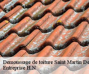 Demoussage de toiture  saint-martin-des-champs-78790 Entreprise H.N