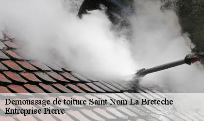 Demoussage de toiture 78860