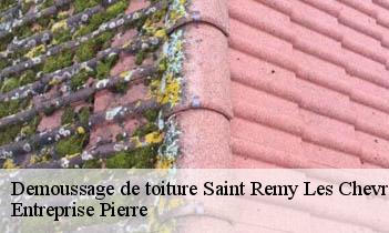 Demoussage de toiture saint-remy-les-chevreuse-78470 Entreprise Pierre