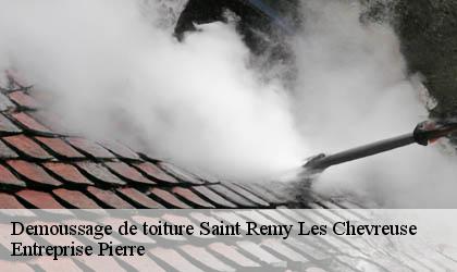 Demoussage de toiture 78470