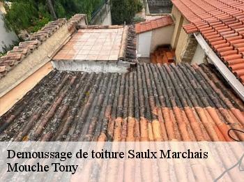 Demoussage de toiture  saulx-marchais-78650 Mouche Tony
