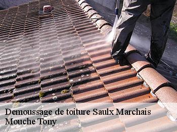 Demoussage de toiture