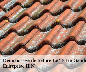 Demoussage de toiture  le-tartre-gaudran-78113 Entreprise H.N