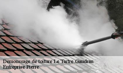 Demoussage de toiture 78113