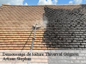 Demoussage de toiture  78850