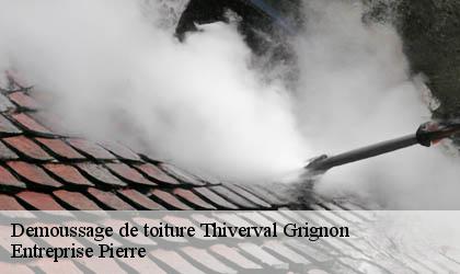 Demoussage de toiture 78850