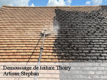 Demoussage de toiture  78770